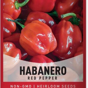 Gardeners Basics, Semillas de pimiento habanero rojo para plantar más de 100 pimientos habaneros tradicionales sin OMG semillas de plantas para Gardeners Basics, Semillas de pimiento habanero rojo para plantar más de 100 pimientos habaneros tradicionales sin OMG semillas de plantas para