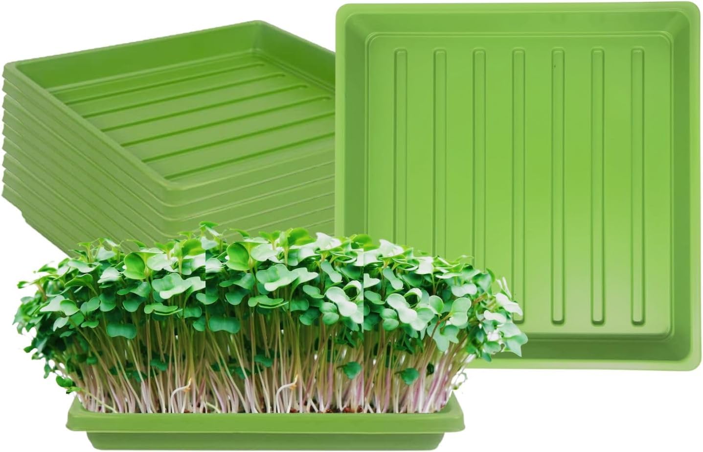 BeGrit 1010 Bandeja sin agujeros Bandeja de cultivo Bandeja de drenaje Bandeja de drenaje Microgreens 10-Pack Verde