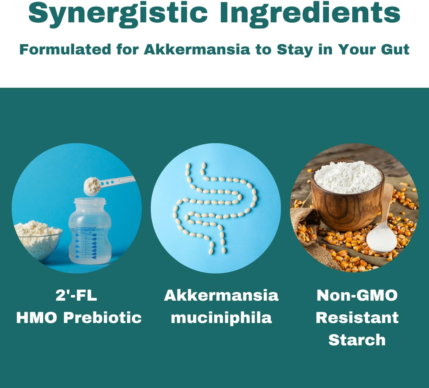 Layer Origin Akkermansia Muciniphila Probiótico con PureHMO Oligosacáridos de leche humana prebiótico para GLP, metabolismo, 60 cápsulas, suministro