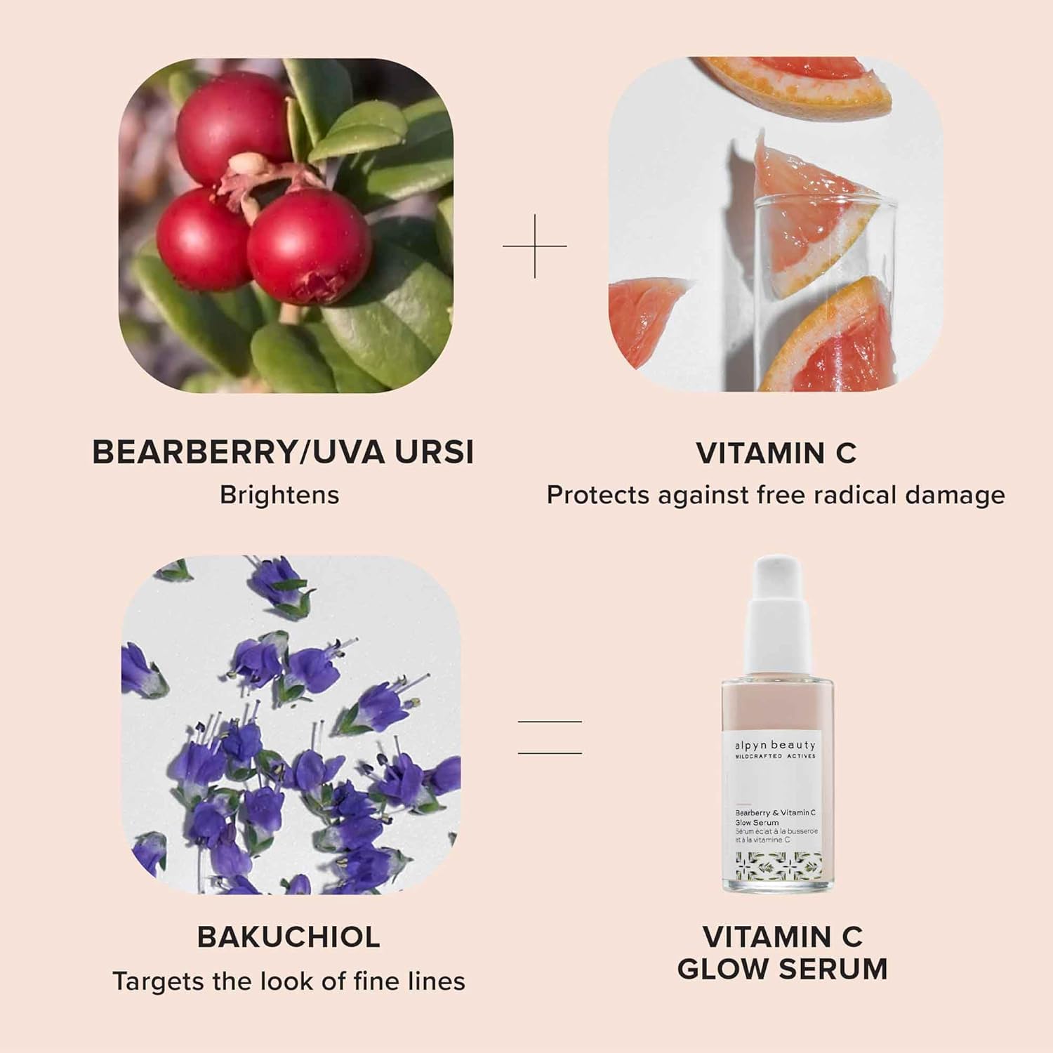 Alpyn Complexion Perfection Bundle  Crema hidratante derretida  Vitamina C y suero de brillo de gayuba
