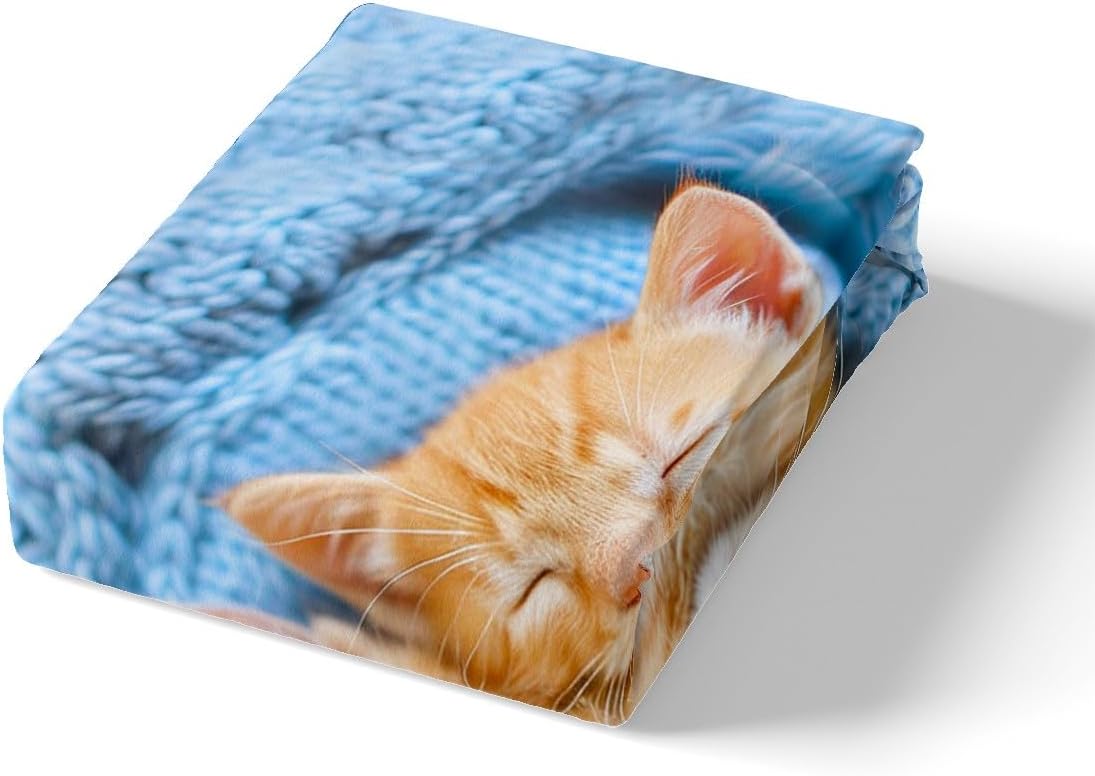 Juego de funda de edredón con diseño de gato para mascotas, lindo gatito, funda de edredón con estampado de gatitos para niños, niñas, adolescentes,