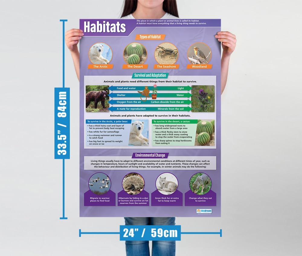 Daydream Education Hábitats Science Poster  Papel brillante  Gran formato 33 x 23.5 pulgadas  Decoración de aula STEM  Tablas de pancartas de
