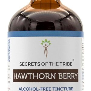 Extracto de tintura de bayas de espino sin alcohol, gotas de hierbas de alta potencia, tintura hecha de espino baya Crataegus Laevigata Sistema Extracto de tintura de bayas de espino sin alcohol, gotas de hierbas de alta potencia, tintura hecha de espino baya Crataegus Laevigata Sistema