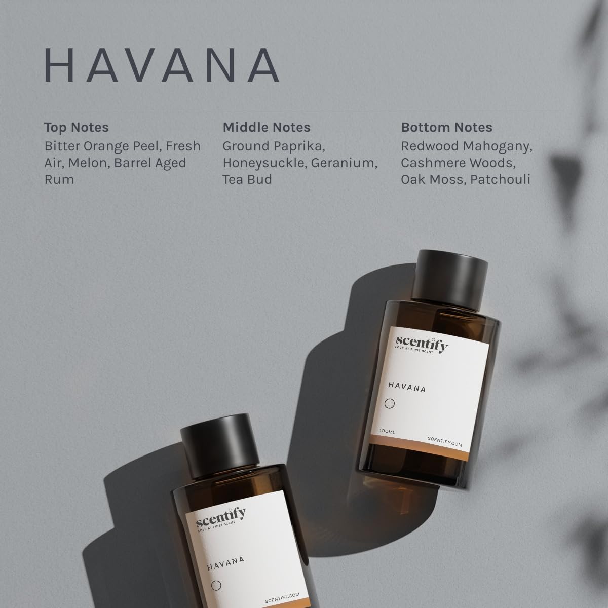 Scentify – Aroma de aceite aromático Havana para difusores de aceite  Lujoso aceite aromático con aromas de musgo de roble, ron, pimentón, caoba