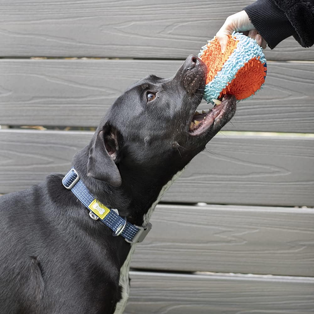 BUILT Pet Nightsafe – Collar para perro grande, azul marino y amarillo