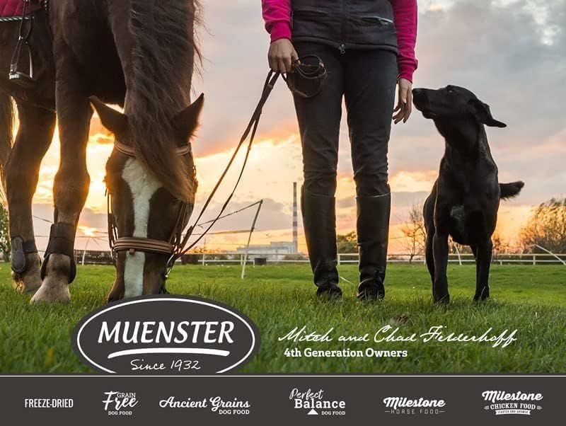 Muenster Perfect Balance – Harina de pollo con granos antiguos  Alimento seco para perros sin gluten  croquetas completas y equilibradas para perros