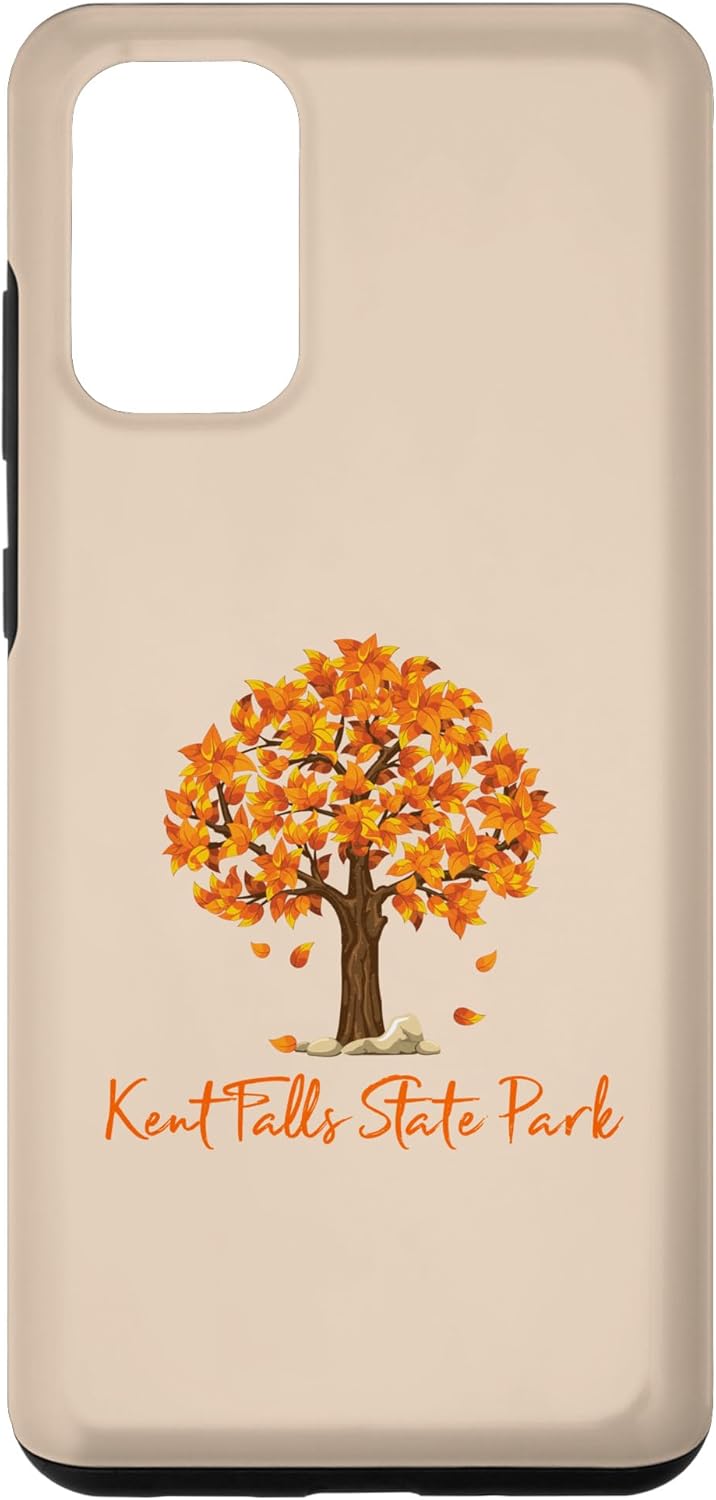 Galaxy S20+ Kent Falls State Park Autumn Foliage Fall Leaf Peeping Color Case