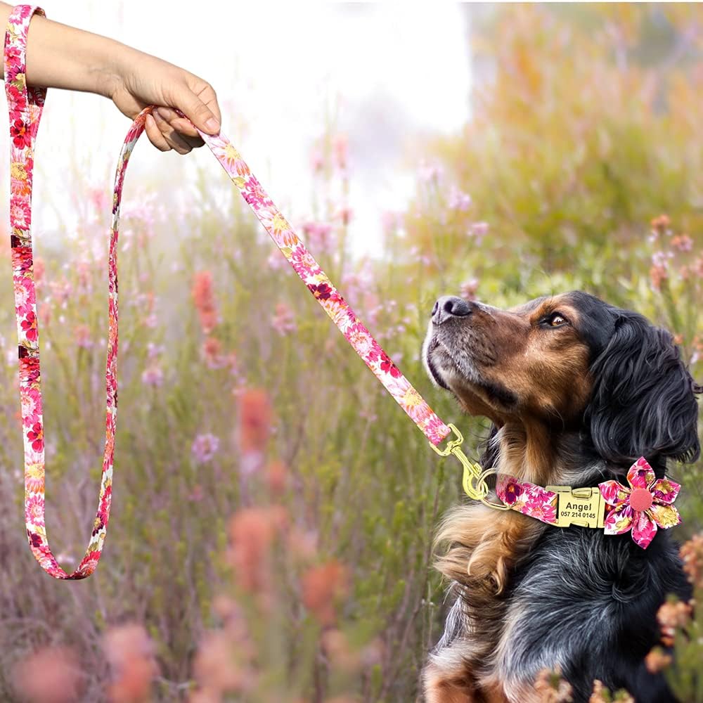 Beirui Juego de collar y correa de perro personalizado para niñas y perros, collar de perro personalizado con flor para perros pequeños, medianos y