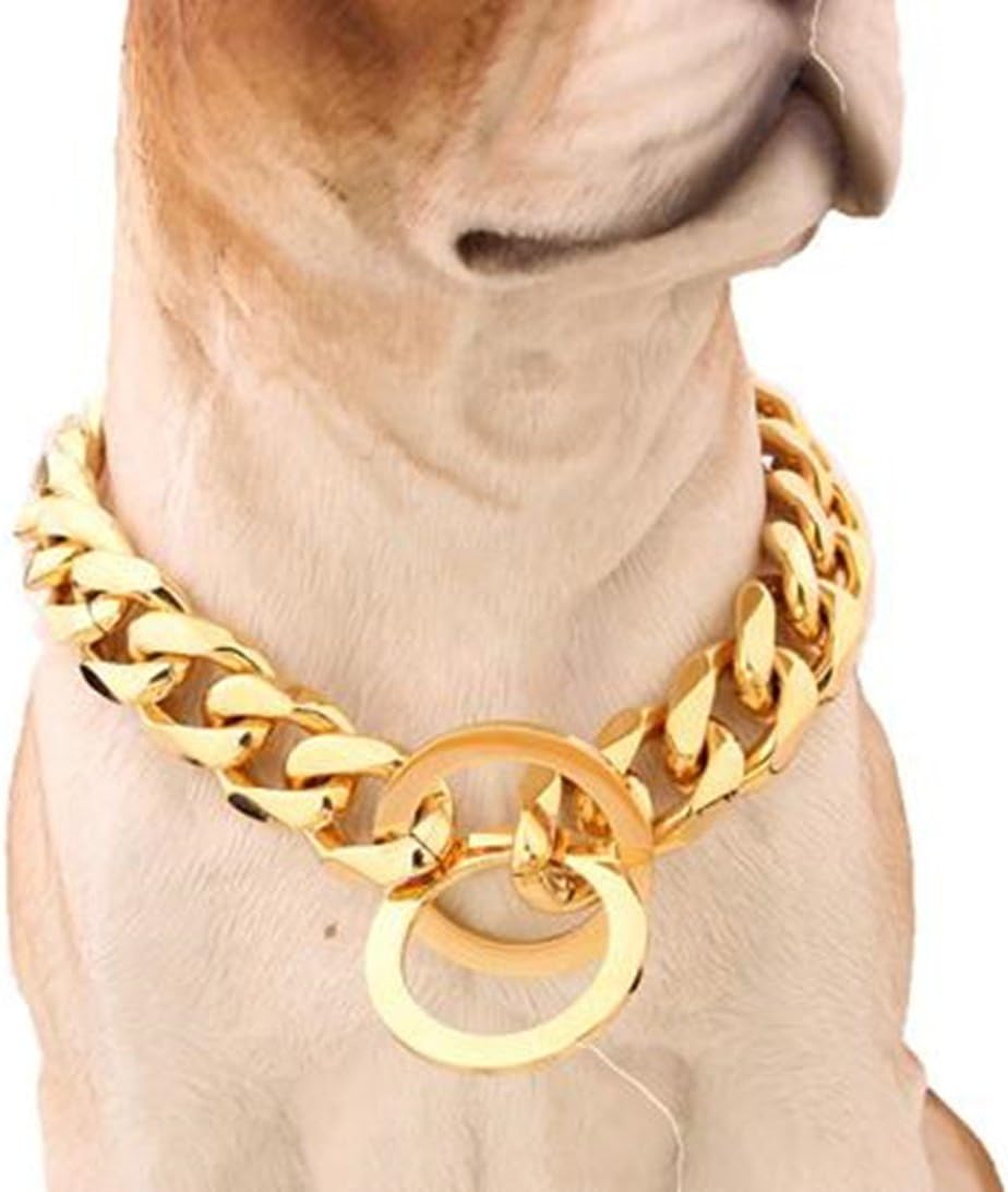 Collar de cadena de acero inoxidable dorado de 0.472in para perro de Pit Bull, Mastiff, Bulldog y razas grandes de 12 pulgadas a 34 pulgadas