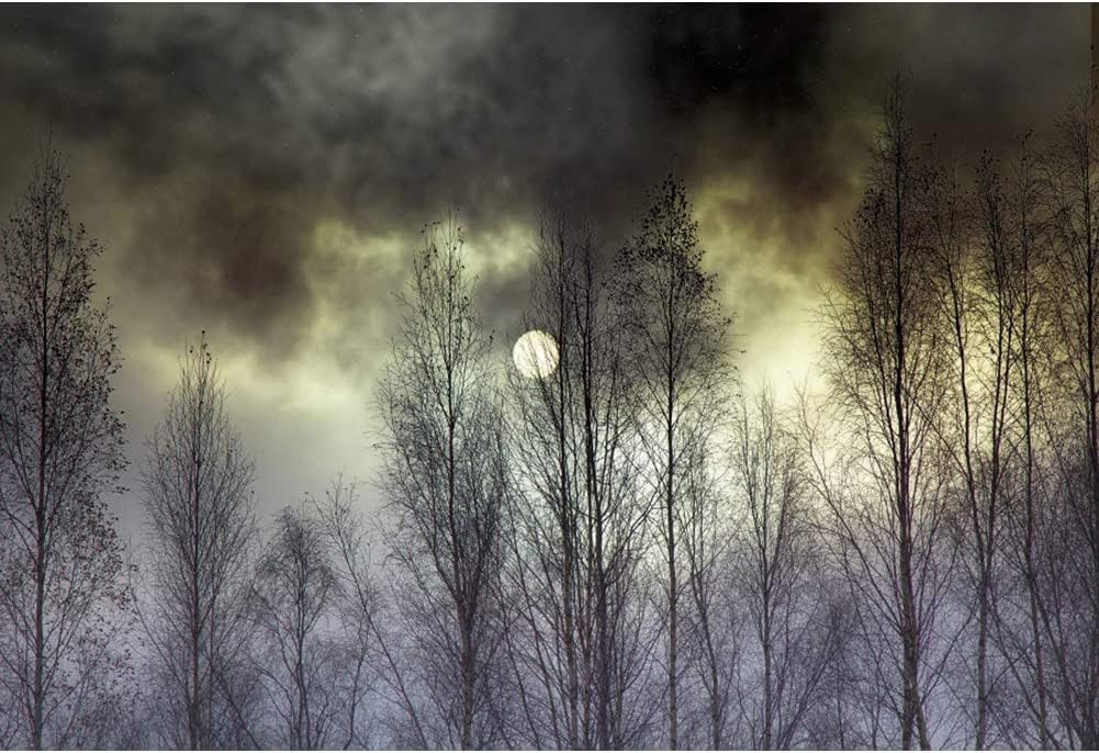 Yeele Telones de fondo de Halloween de noche negra, nube aterradora, luna completa, bosque salvaje, fondo de fotografía de Halloween, fondo de fotos
