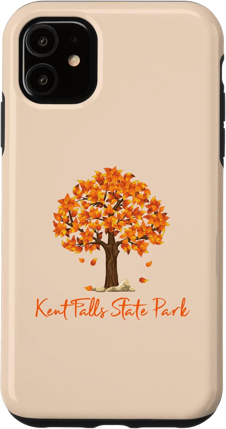 Funda de color para iPhone 11 Kent Falls State Park Autumn Follage Fall Leaf Peeping