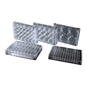 Nest Scientific 701002 Placa de cultivo celular de 96 pozos, plano, TC, estéril 10pk, 100cs Nest Scientific 701002 Placa de cultivo celular de 96 pozos, plano, TC, estéril 10pk, 100cs