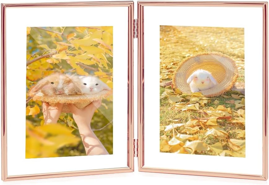 SAEGYPET Marco de fotos de metal plegable de 6 pulgadas, para tamaños de imagen (3.5 x 5, 3 x 4, 2 x 3), hermoso marco de fotos doble de cristal de