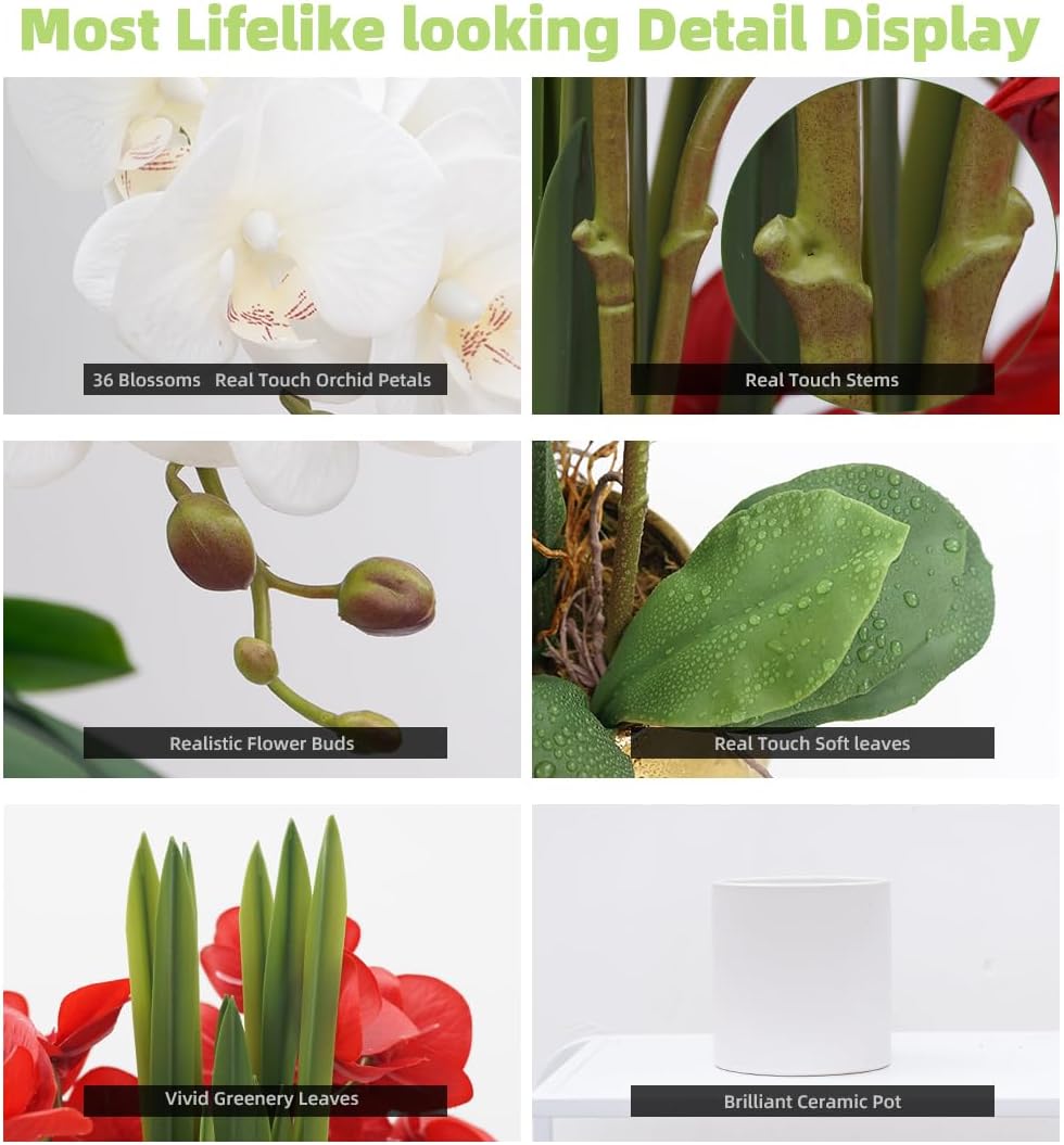 CXGS Plantas artificiales de orquídeas artificiales de tacto real, orquídeas falsas en jarrón de cerámica de 20.9 pulgadas, orquídea falaenopsis