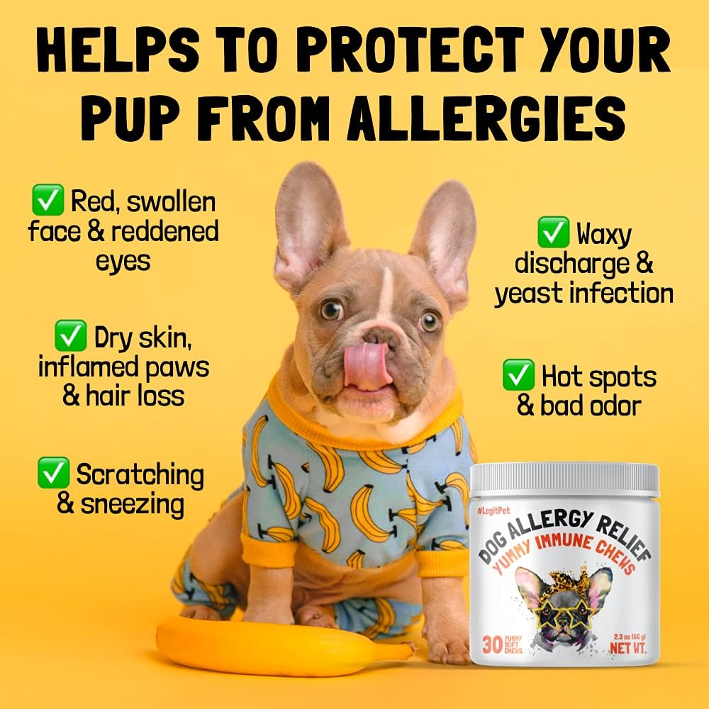 Masticables para aliviar la alergia para perros y suplemento inmunológico y digestivo con aceite de salmón silvestre, calostro, cúrcuma, probióticos