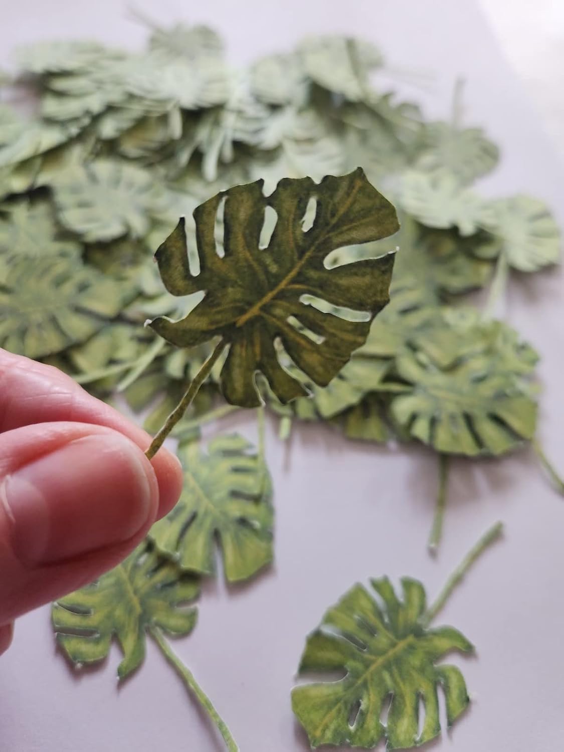 Monstera Leaf Confetti, Green Leaf Craft, Nature Craft