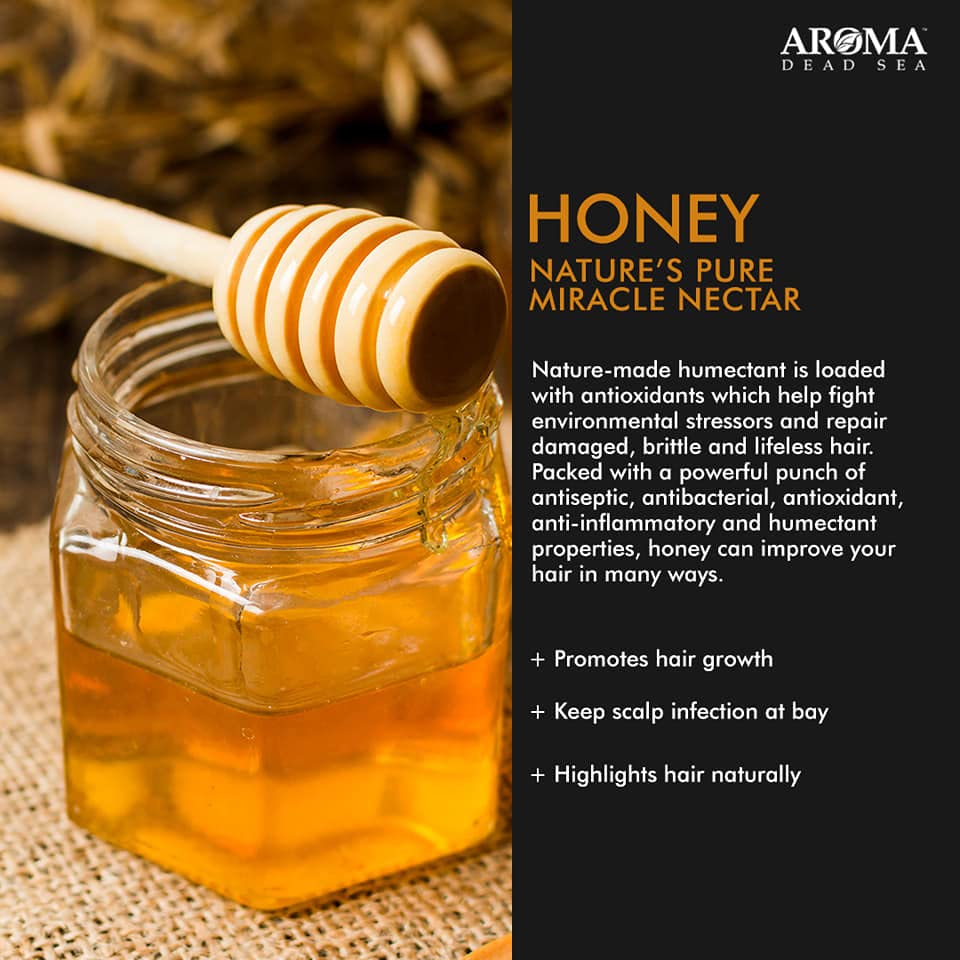 Aroma Dead Sea Champú de miel y yema de huevo y aceite de oliva Receta antigua restaura el equilibrio natural del cabello para un cabello sano y