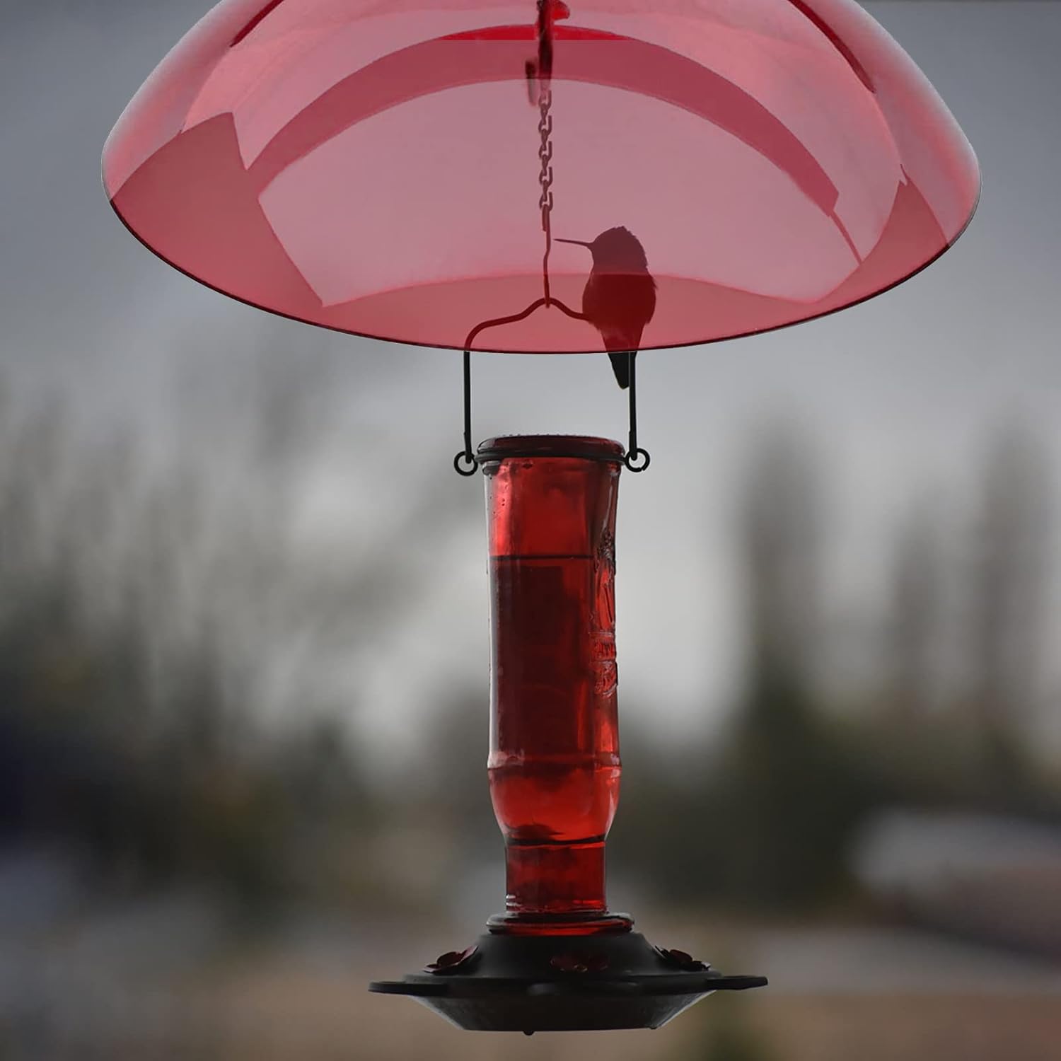 Baffle para comedero de pájaros, comederos para pájaros a prueba de ardillas para exteriores, cubierta de lluvia para comederos de pájaros para