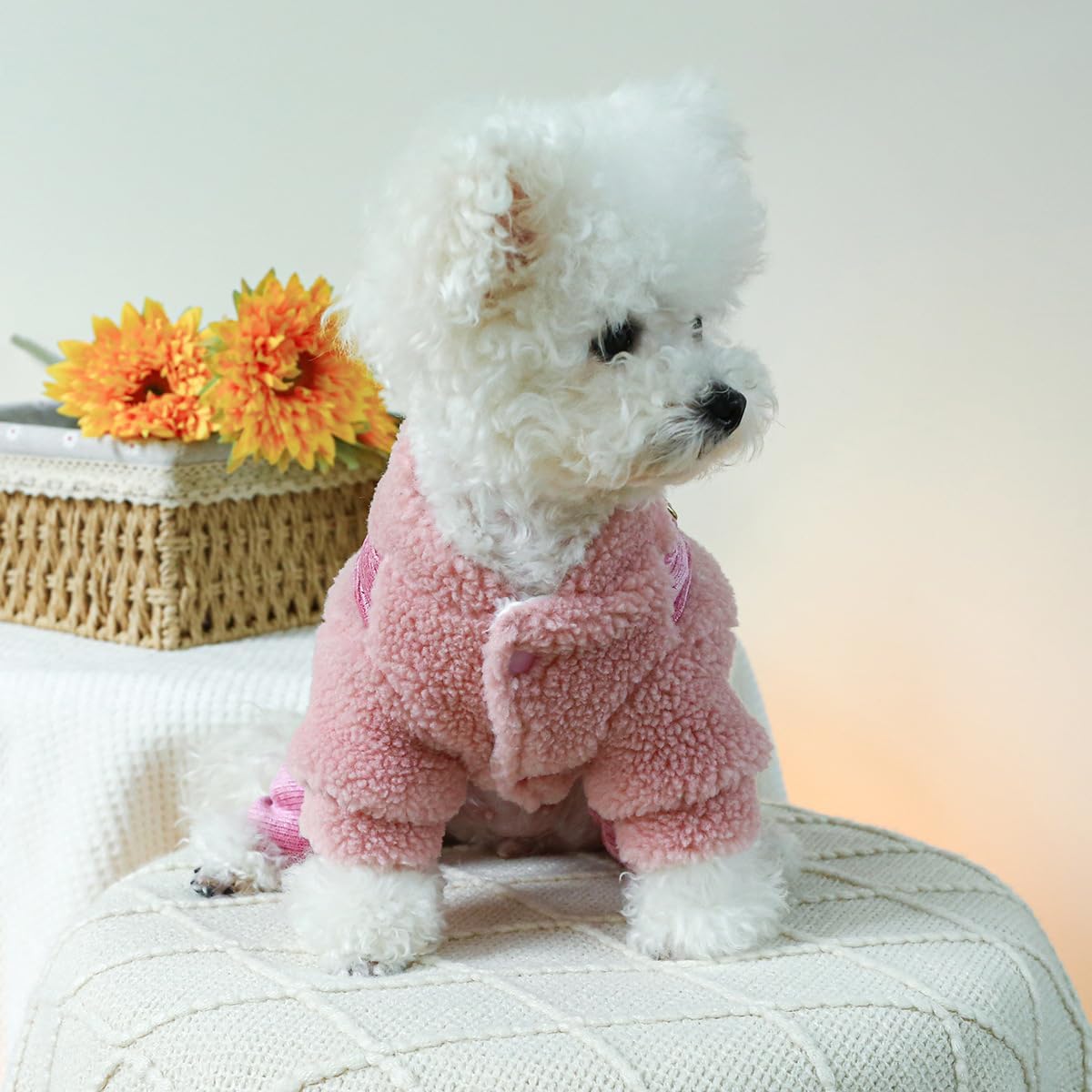 Ropa para cachorros, pijamas para perro, trajes de invierno, abrigo para perros pequeños, overol de forro polar con patrón de corazón, pantalones de