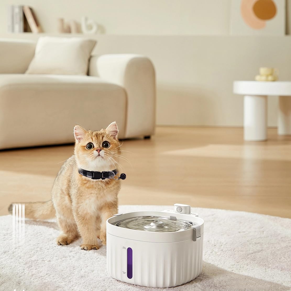Paquete de 8 collares clásicos a cuadros para cachorros con campanas, collares de identificación de gato ajustables de 7.5 a 12.6 pulgadas, bonitos