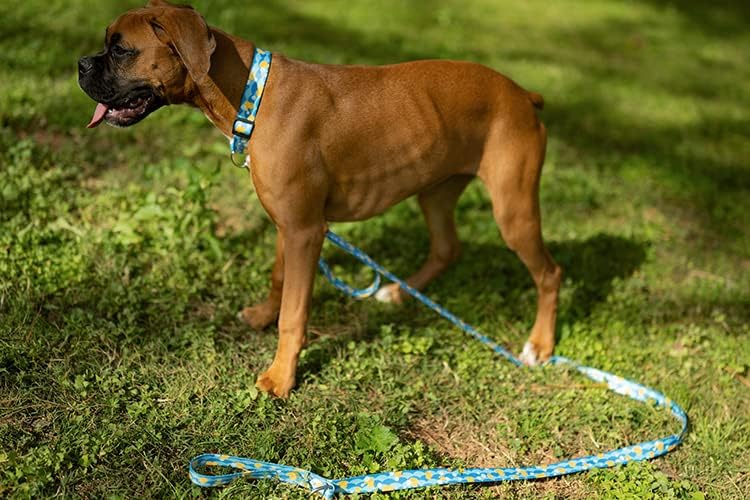 Country Brook Petz – Collar de lujo para perro Just Ducky, fabricado en los Estados Unidos, colección Critter Corner con diseños temáticos de