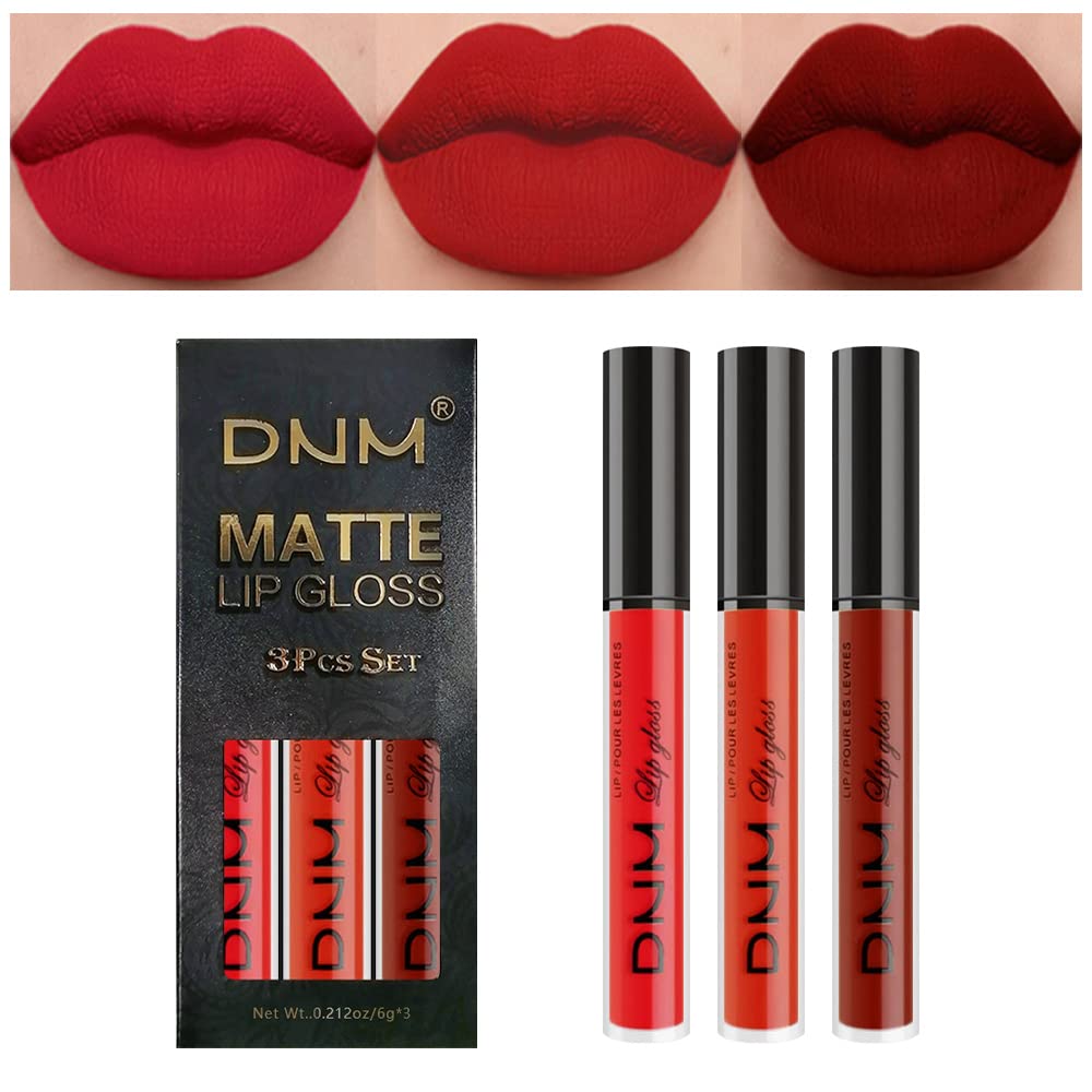 Amy’s Diary – Juego de 3 lápices labiales líquidos mate de 24 horas a prueba de manchas, DNM rojo oscuro mate, brillo labial de larga duración,