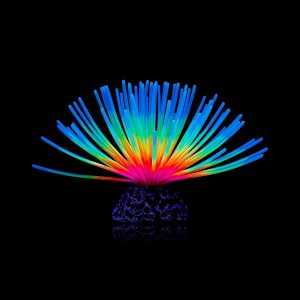 WishLotus Decoración de pecera brillante, colorido efecto brillante, bola de erizo de mar, adorno de silicona artificial, coral, decoración WishLotus Decoración de pecera brillante, colorido efecto brillante, bola de erizo de mar, adorno de silicona artificial, coral, decoración