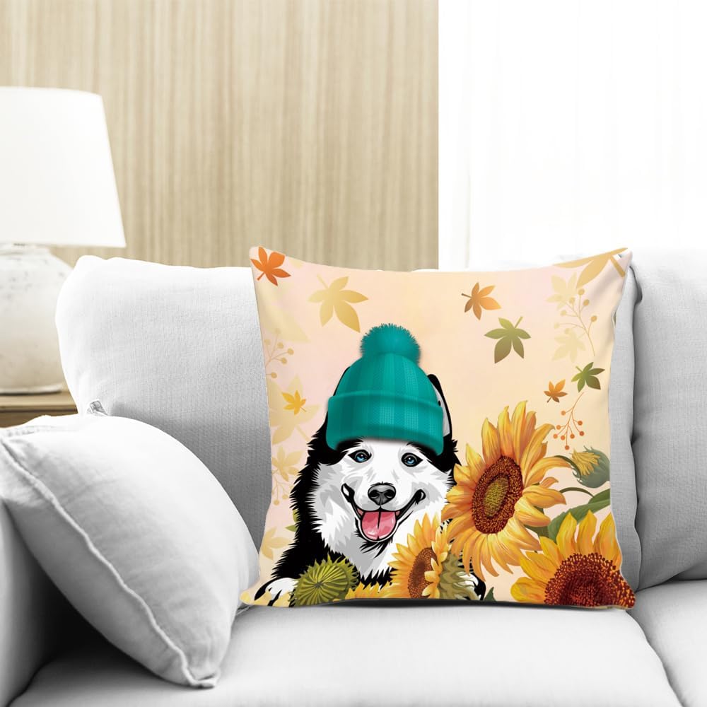 MALIHONG Funda de almohada con diseño de girasoles de otoño, diseño de perro chihuahua en gorros verdes, decoración de temporada, decoración de