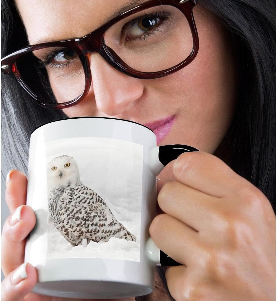 3dRose Danita Delimont – Búhos – Búho Nevado en la nieve, Montana – Tazas (mug_279187_4)