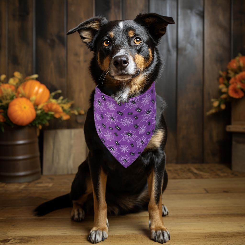 Bandana de Halloween para perros  2 pañuelos triangulares ajustables para mascotas para todas las razas  Pañuelo lavable para cachorros de Acción de