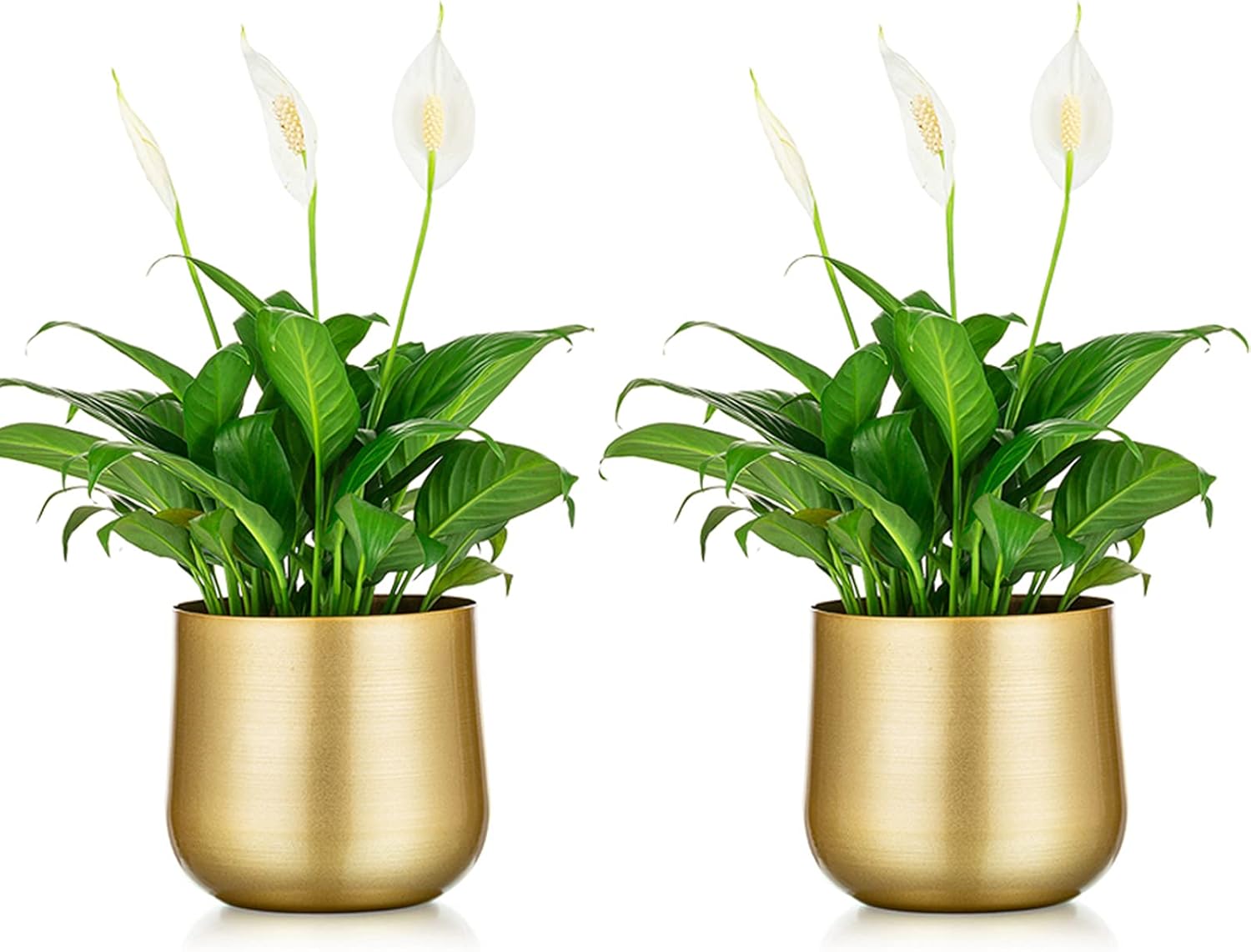 Nuptio 2 macetas doradas de metal con agujero de drenaje, organizador de almacenamiento moderno, regalos decorativos para bodas, interiores y