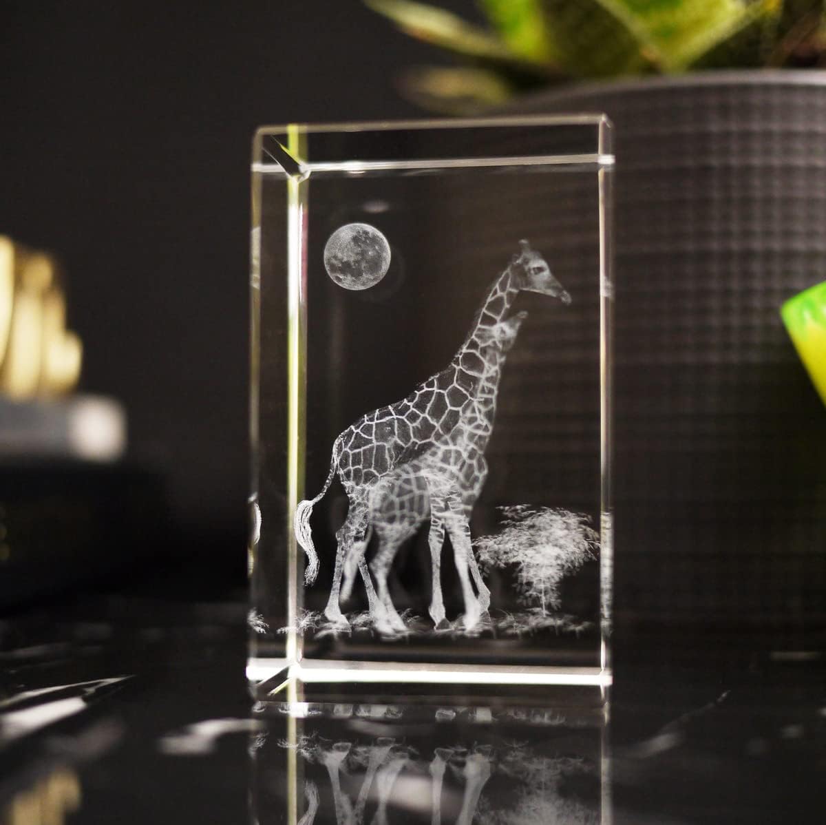 Regalo de jirafas para decoración del hogar, cristal 3D K9 para amantes de los animales, zoológico, safari, amor, amistad, decoración de guardería,