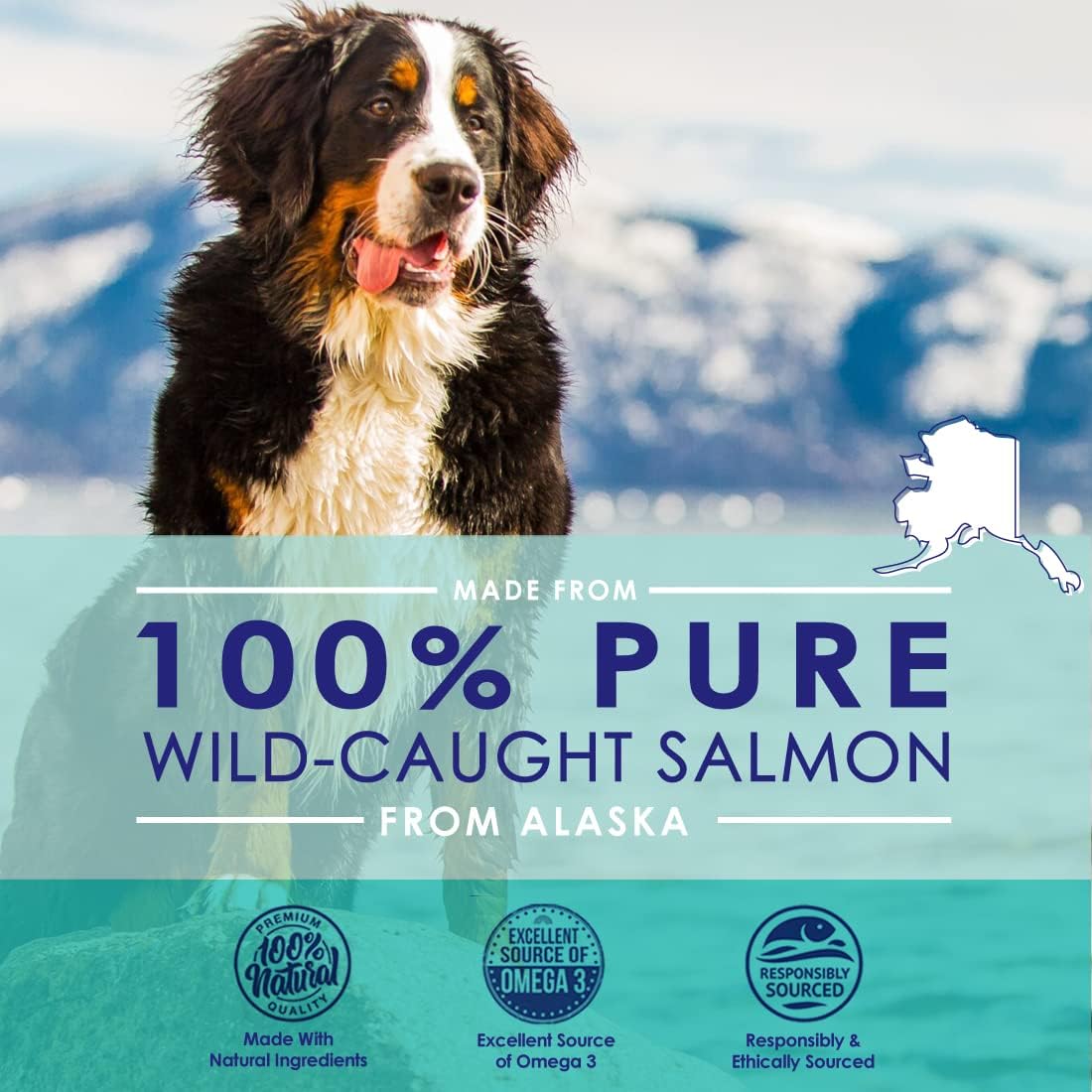 Aceite de salmón puro de Alaska salvaje para perros, suplemento de aceite de pescado Omega 3 para una piel saludable y un pelaje brillante, evita la