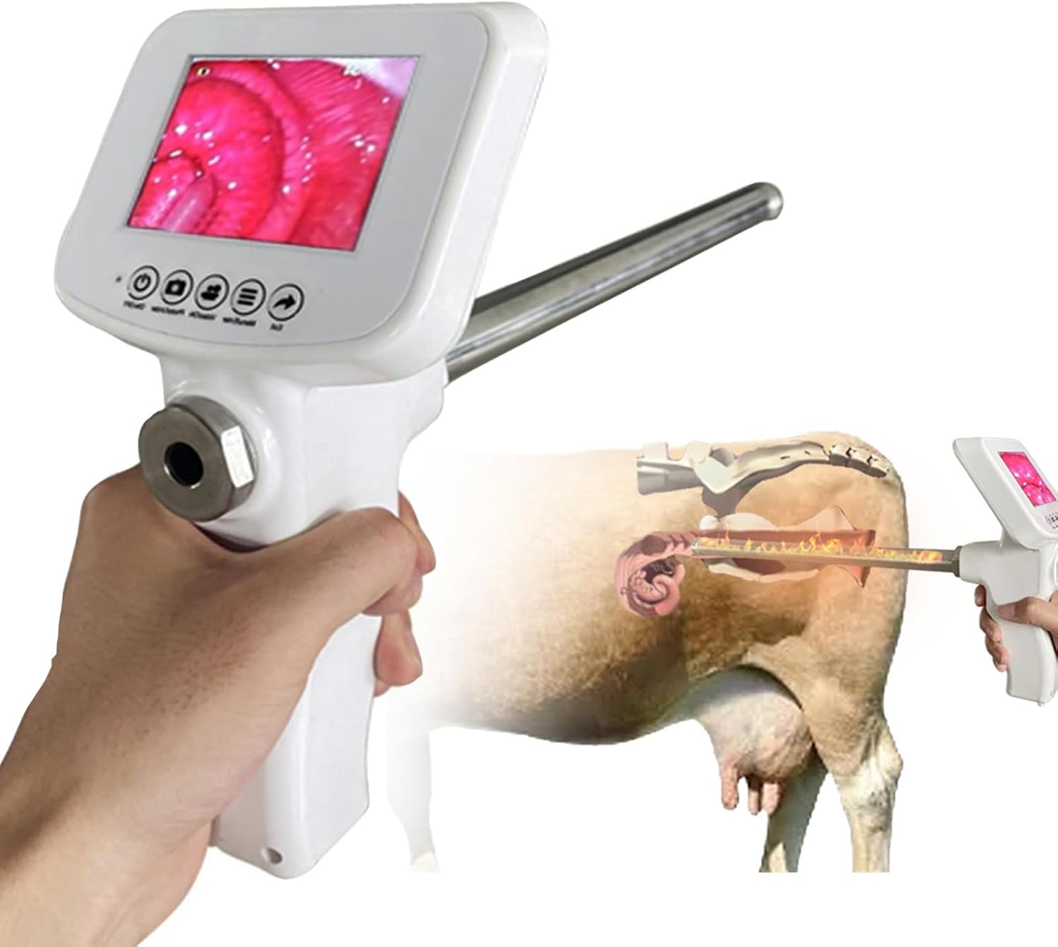 Visual Dog – Pistola de inseminación artificial, dispositivo de cría de video visual de caballovaca, pistola de tubo veterinario con cámara