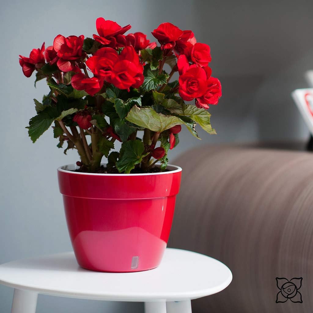 ASTI – Maceta de riego automático, maceta moderna con indicador de nivel de agua para todas las plantas de la casa, flores, hierbas, suculentas y