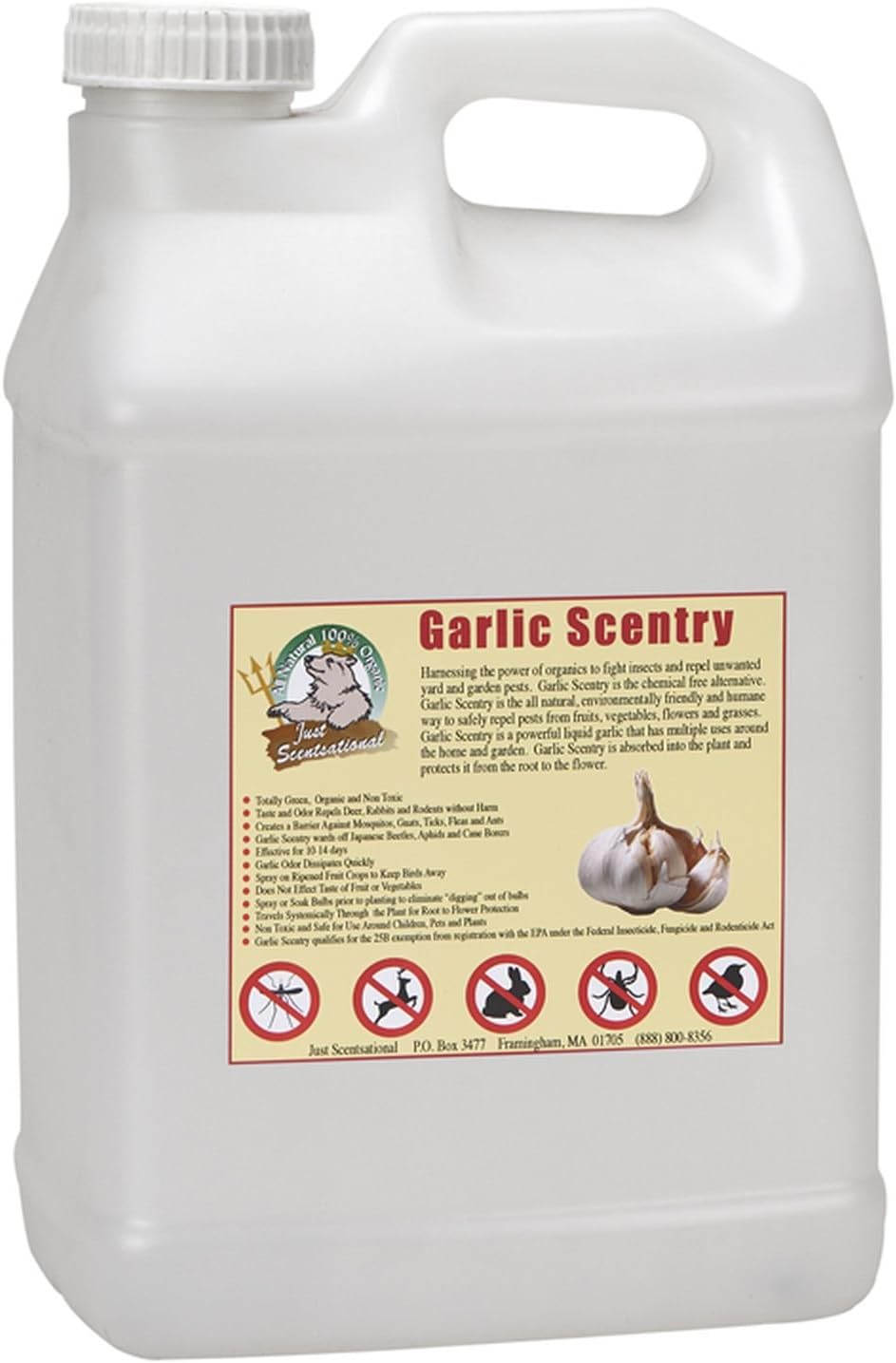 Just Scentsational Bare Ground Solutions GCS-2.5P Barrera y repelente de concentrado de ajo líquido natural, 320 oz (2.5 galones),