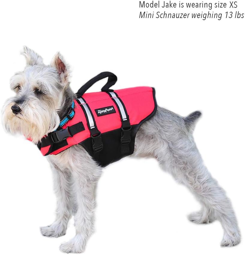 ZippyPaws Chaleco salvavidas para perros y cachorros, chaleco salvavidas para entrenamiento de natación para perros pequeños, medianos y grandes,