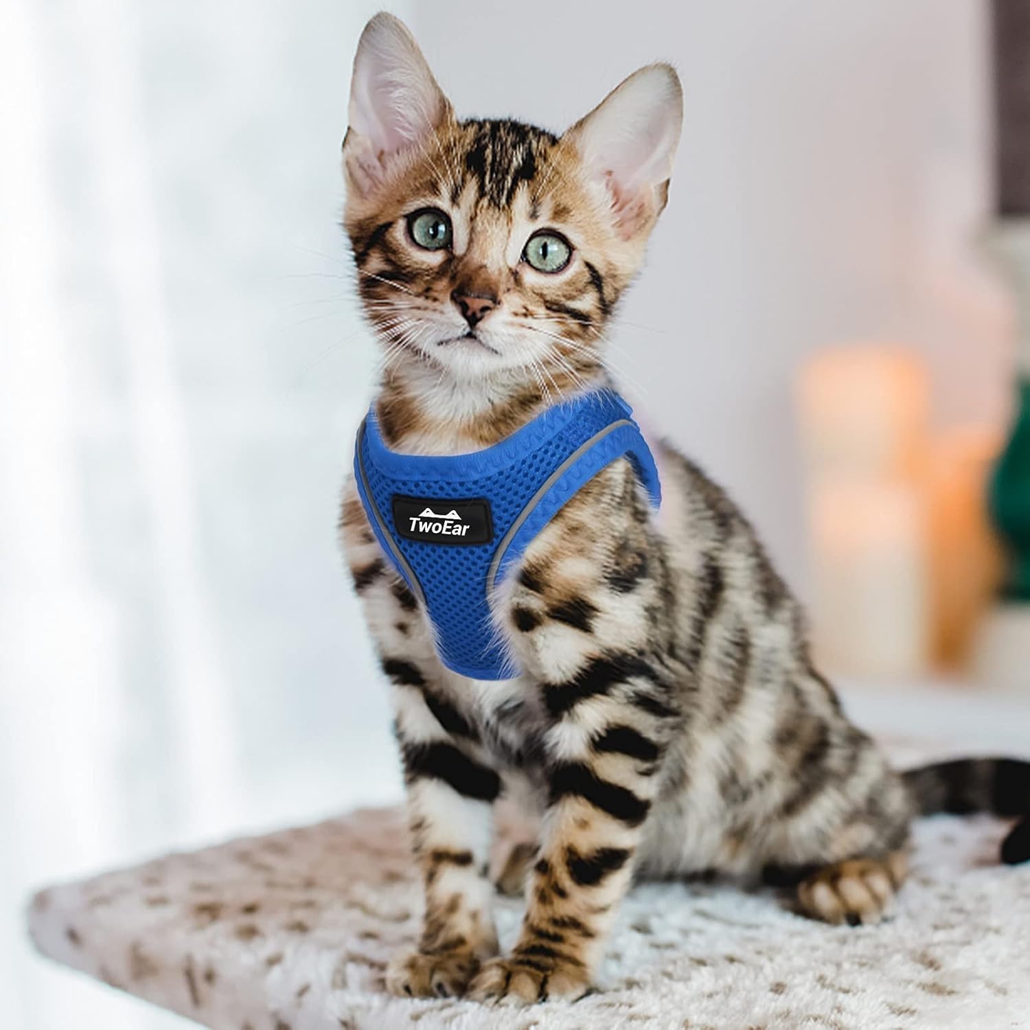 TwoEar Arnés de gato a prueba de escape, suave chaleco ajustable para perro, de malla transpirable, chaqueta reflectante de fácil control para