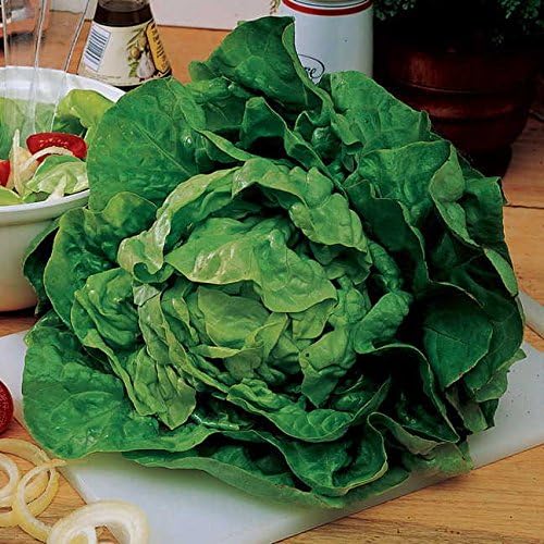 Park Seed Cinta de semillas de lechuga Buttercrunch, filas ordenadas y rectas de lechuga al instante, 15 pies de cinta