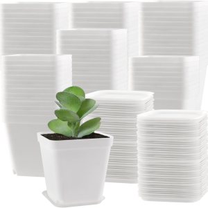 80 macetas cuadradas de plástico blancas, macetas cuadradas para guardería, macetas de plástico con orificio de drenaje, pequeñas macetas cuadradas 80 macetas cuadradas de plástico blancas, macetas cuadradas para guardería, macetas de plástico con orificio de drenaje, pequeñas macetas cuadradas