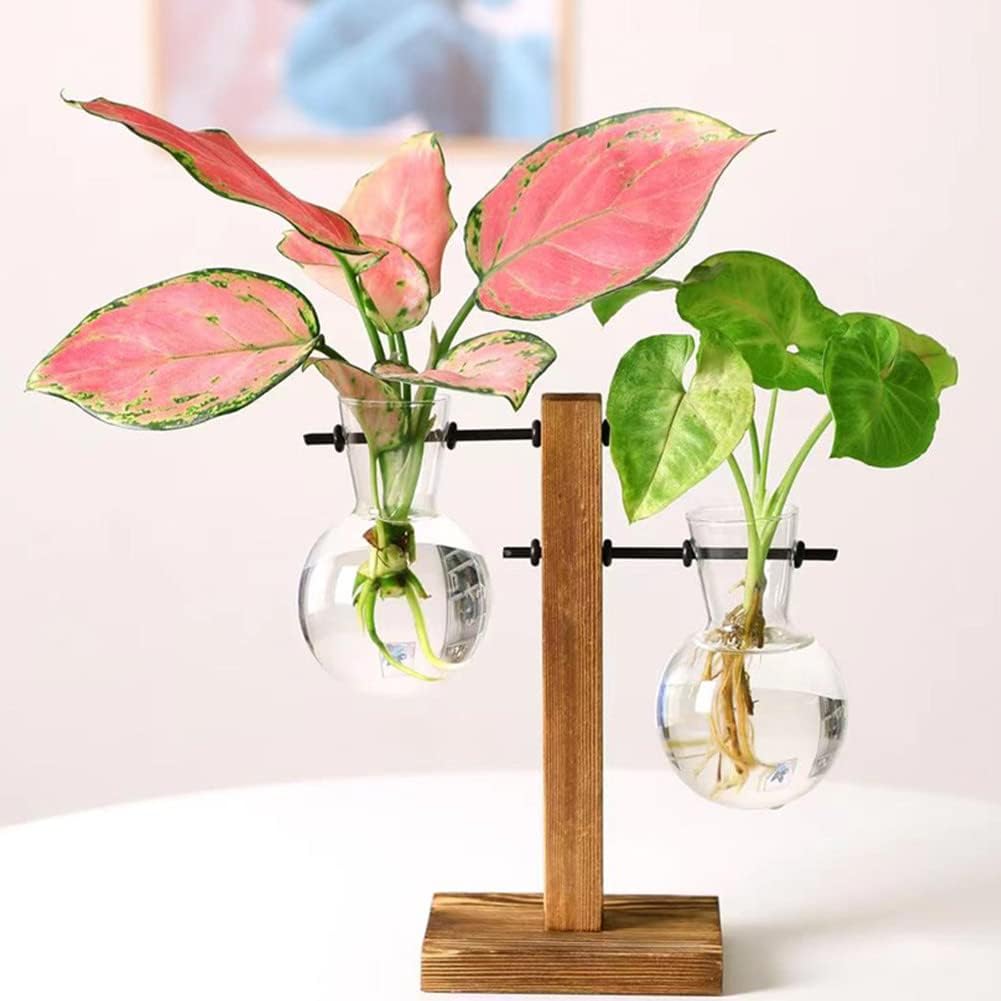 Jarrón de cristal para plantas hidropónicas, kit de terrario de plantas de escritorio con soporte retro de madera maciza para plantas hidropónicas,
