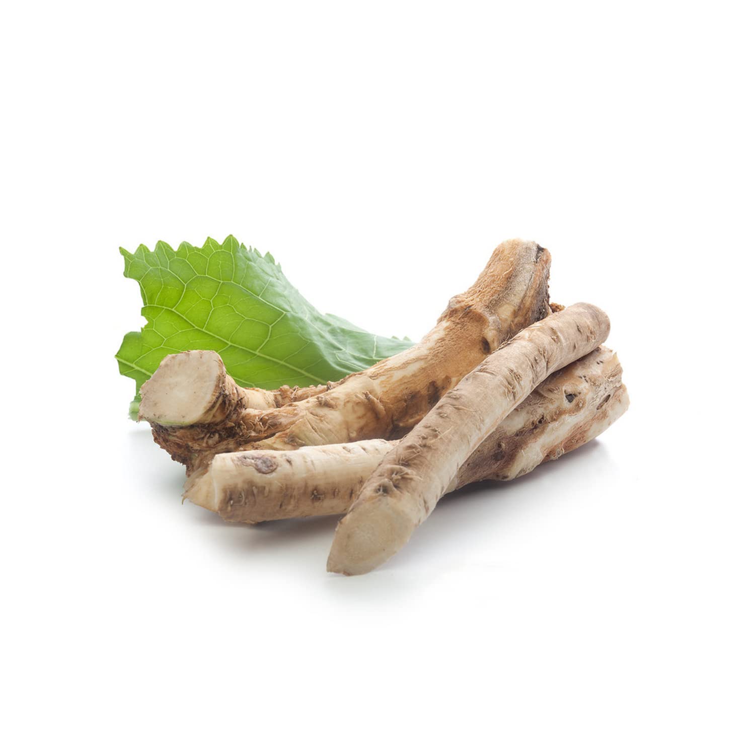 Kejora Raíces frescas de rábano picante 1 LB