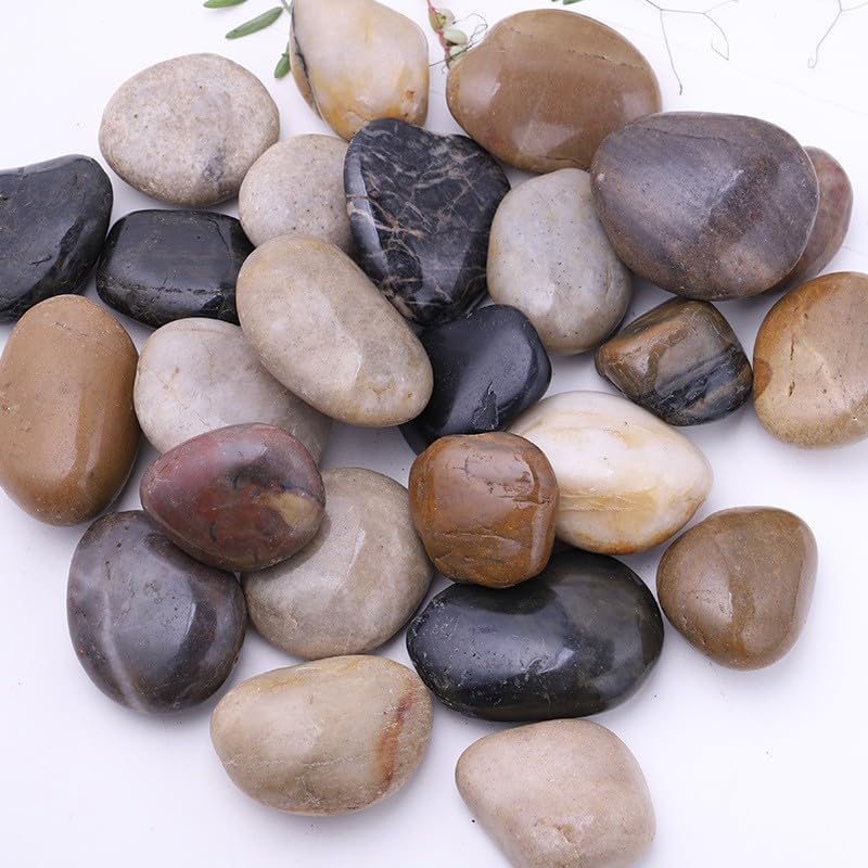 Piedras de río, plantas, jardines, paisajes, suculentas, guijarros decorativos altamente pulidos en formas y tamaños de 1 a 3 pulgadas. (23.9