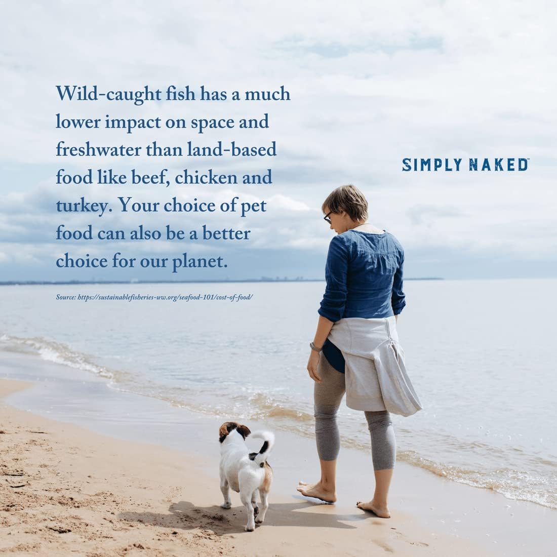 Wild Select Seafood Dog Food  Sin pollo u otros subproductos animales  Rico en ácidos grasos Omega 3 y 6  Pescado capturado silvestre de origen