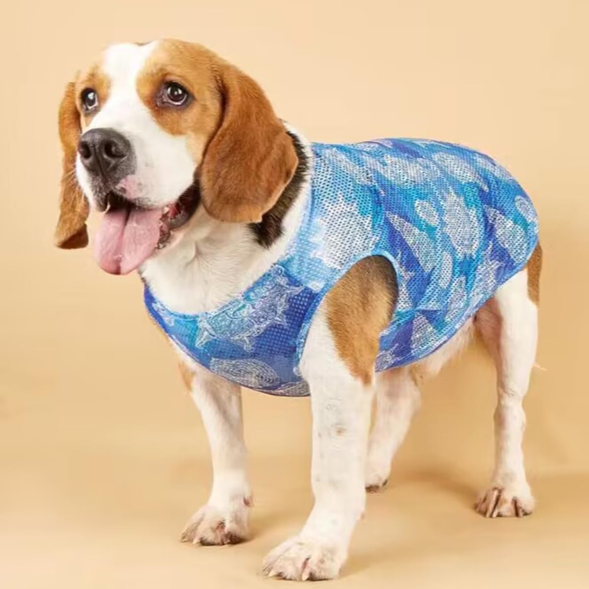 Paquete de 2 camisas para perros X pequeños  Lindo cachorro de secado rápido fresco chaleco camiseta verano sin mangas ropa de perro camisas ligeras