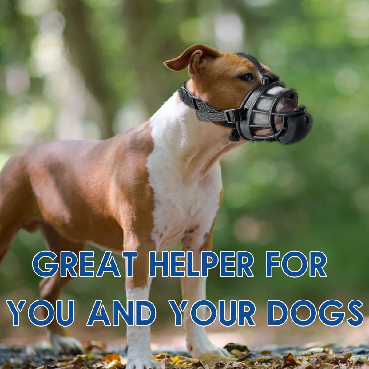 Bozal para perro con alimentador lento para entrenamiento positivo, antimordeduras, masticación y lamer heridas, bozal suave y humano para perros