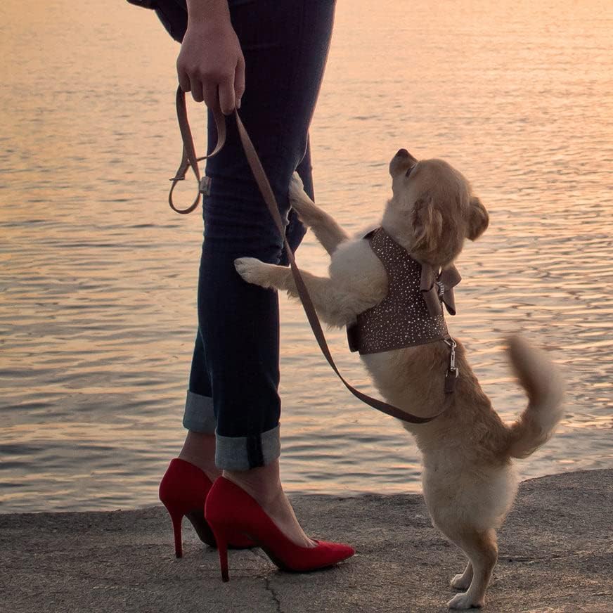 Susan Lanci Designs – Arnés ultrasuede prémium para perros y mascotas, color rosa cachorro, talla S