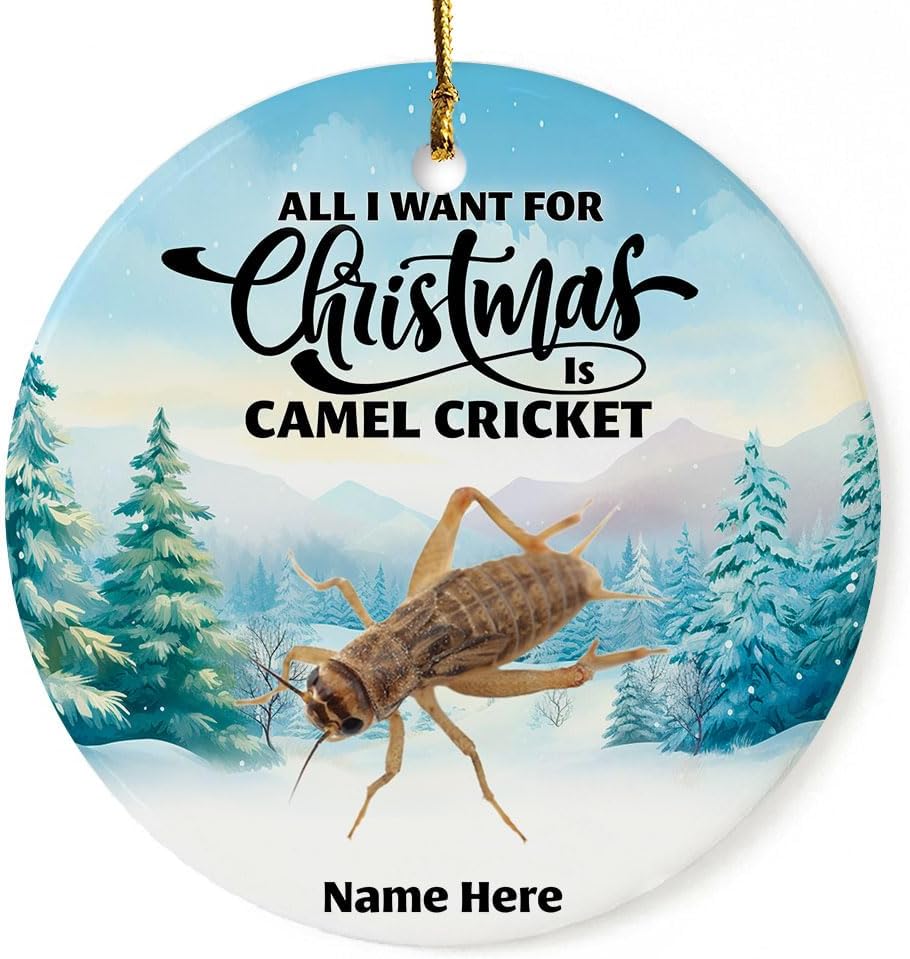 Adorno de regalo personalizado de grillo de camello 2023 para decoración del árbol de Navidad, regalos de recuerdo personalizados para dueños de