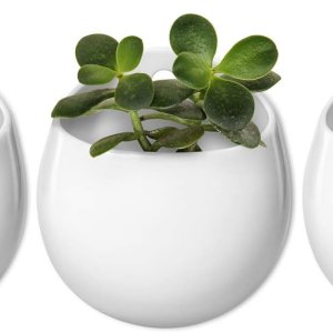Mkono Maceta redonda de cerámica de 4 pulgadas para colgar en la pared, jarrón decorativo para plantas de interior, juego de 3, color blanco Mkono Maceta redonda de cerámica de 4 pulgadas para colgar en la pared, jarrón decorativo para plantas de interior, juego de 3, color blanco