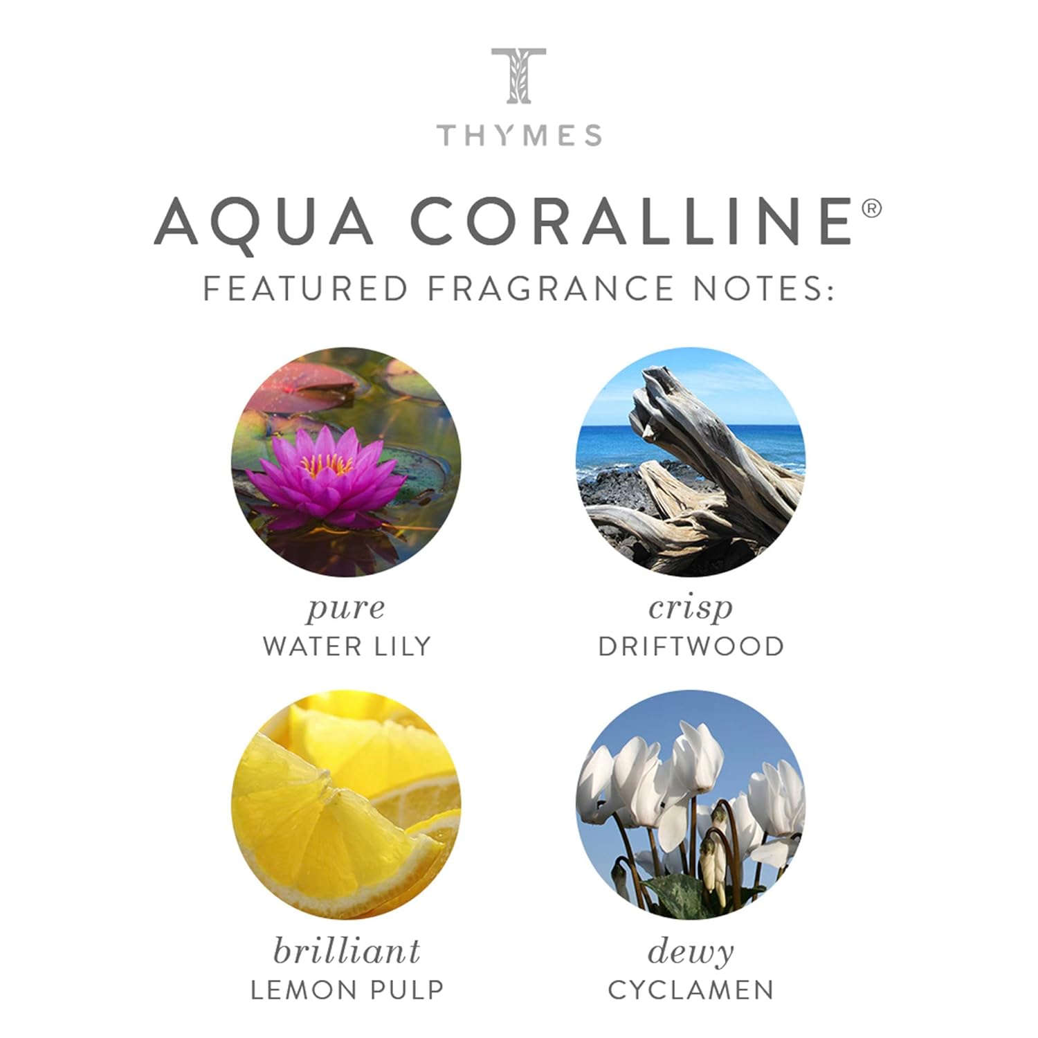 Thymes Crema de manos – 3 Fl Oz – Aqua Coralline